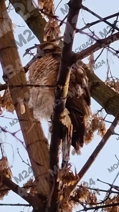 ������� � ������� ������� �������� � ������