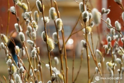 ����� ������ � ������ ������ ��������, ������� ���������� ������ ��������