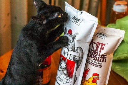 ��������� �����: � ������� ��������� ������������ ��� ��������� ��������