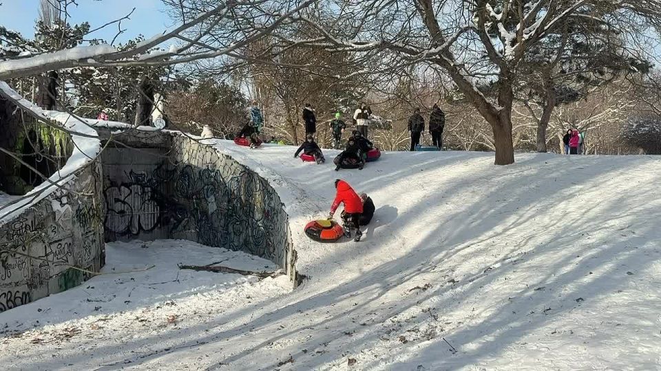 Ольга Курлаева: В Крыму выстроились очереди…