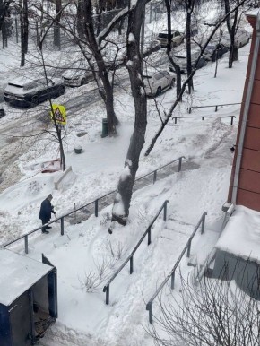 ���� ������ ��������, ����� ���� �����