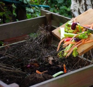 ������� ��������� ��������: ��� �����, � ��� �� ����� ���������