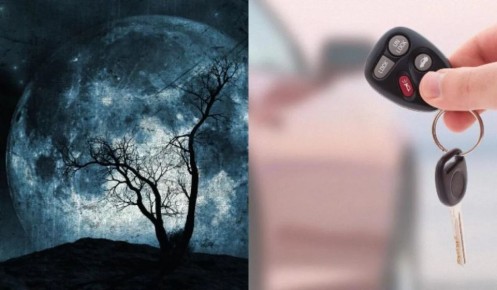 ����� ���� ������ �������� ������ ����� �������?