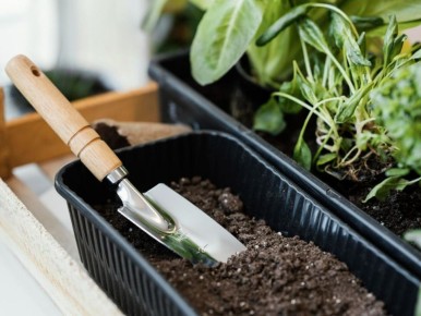 ����������� ������ ��� ������� � ����� ��������� ������