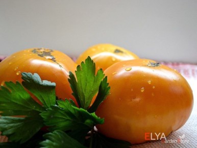 ����� ������ ���� �����: ������� ����� � ����������� ��� ��������