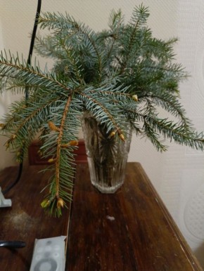 ��� ���������� ������� ����� �������� ����� � ��������