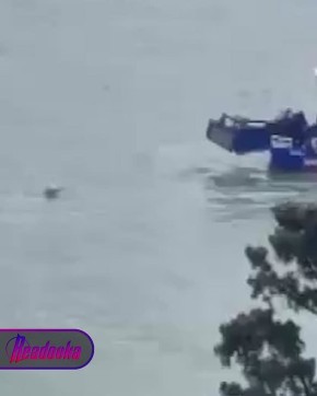 � ������� ����� ���� ������� � ��������, ��� ���������, ��������� ����� �� ����� �������