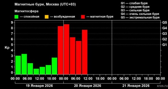 ������������ ���������� ����� ����� ����������, �������� ������������� � ��������������� ������ G4. ������������ ���������� ��������� �����, ��������� ���������� �������, ����������� �� ������ �������