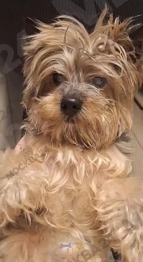 ���� ��������� ��������� ���������� ������ ����������������� ����� ����� ����������� �������� � ������