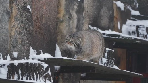 ������� �� ������� � �������������� ������������ ������ �������