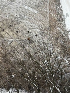 ���� ��������� �� ����� ���������� ����� �� ����������� ����������