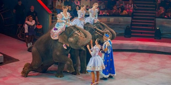 ������� ���������� ���� ���������� �������� ������������ ��� ������� ����������� ����� �������