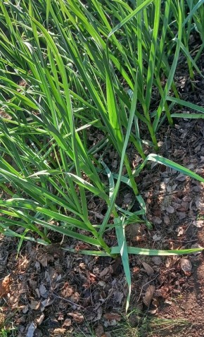 ������������� �������: ������� ���������� ������ � 2026 ����