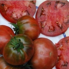 ����� ����������: ��� �������� ������������ ���� � ������