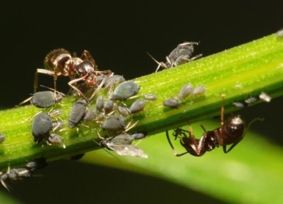 ������� ������ � ��������� �� �������