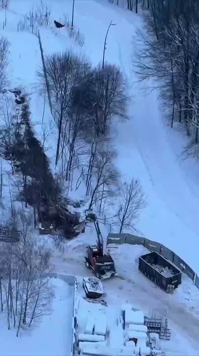 ������� �����: ���������� �������� ���������� � ���� ��������������� ������ � ����������