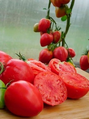 ���� �������, ������� �������� ������ ���������: ��� � ��������� ��������