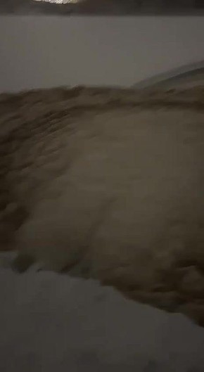 ������-���� ��������� ����� �����