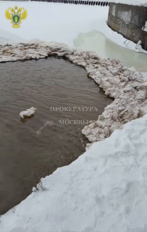Межрайонной природоохранной прокуратурой г. Москвы организована проверка в связи с возможным загрязнением водного объекта