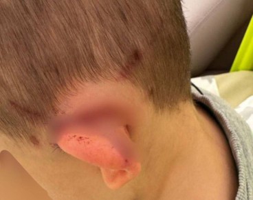 ���� ����������� ������ �� ����� � �����������