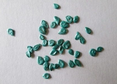 ������� �������� ������� �������: ��� ��������� ����������� ������