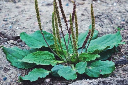 ����������: ������� ��������� ������� ��� �������� � �������