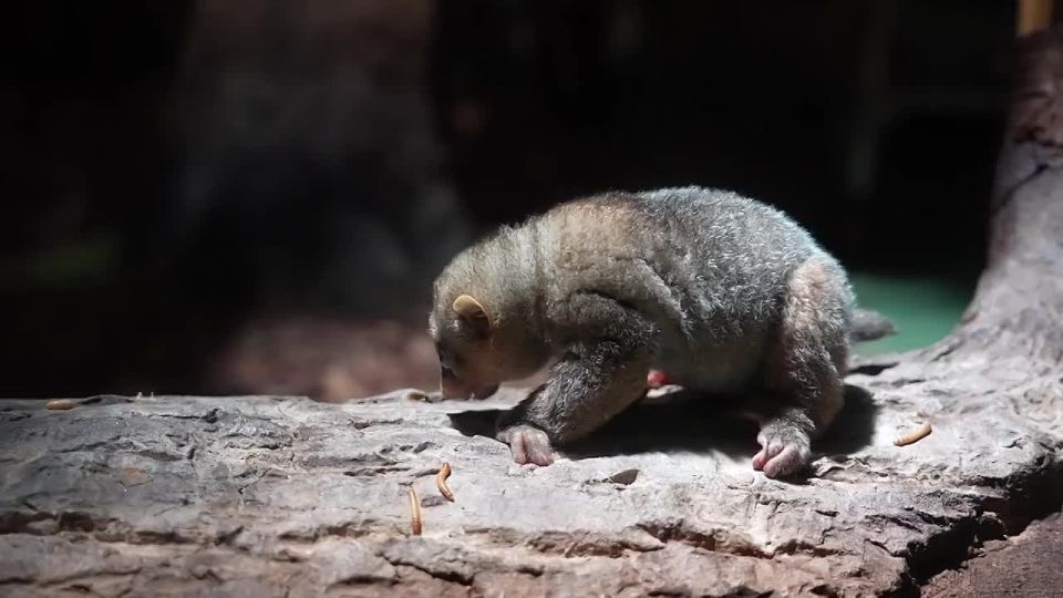 � ���������� �������� ������� ������ ������� ���� � �����