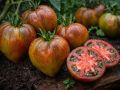 Томат "Заржавевшее сердце Эверетта" созревает за 120 дней