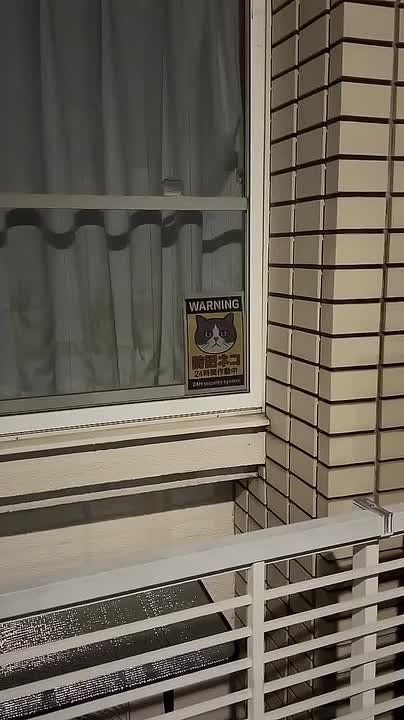 ����� ������������� ������� ������ ���������� � ������