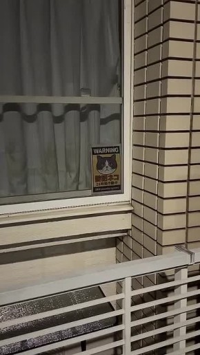 Самая инновационная система охраны обнаружена в Японии