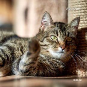 ���� ���� � ����, ��� ���� ����� ����� ���������