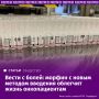В России появилось новое поколение морфина
