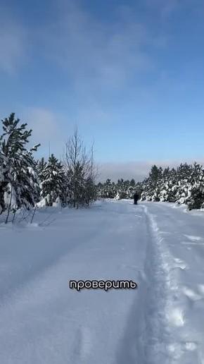 1 ����������� ���� ���� ������ ����� ��� ������ �� ������������