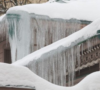 �������, ������� �� ����� ����������: