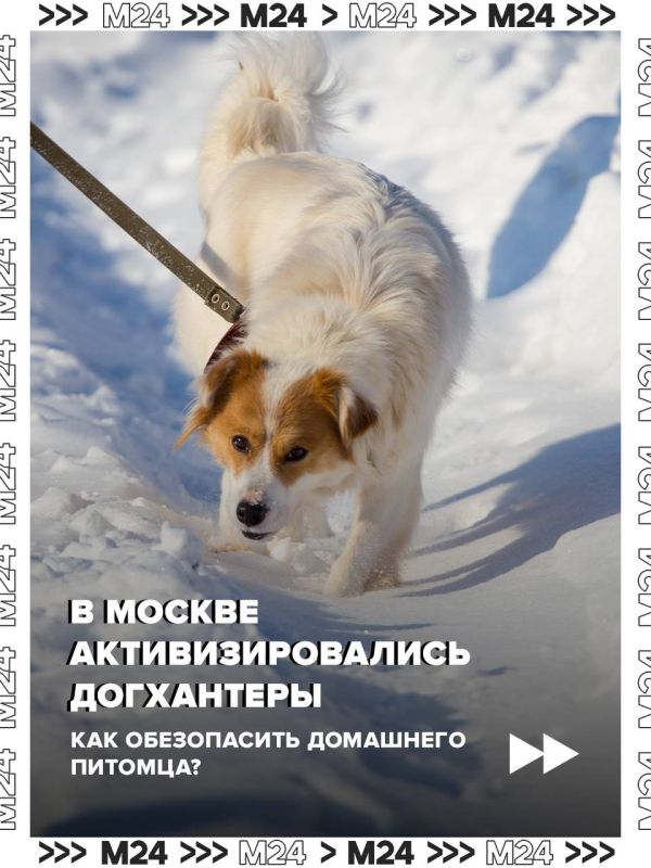 ��� ������� ������ ������� �� �����������?