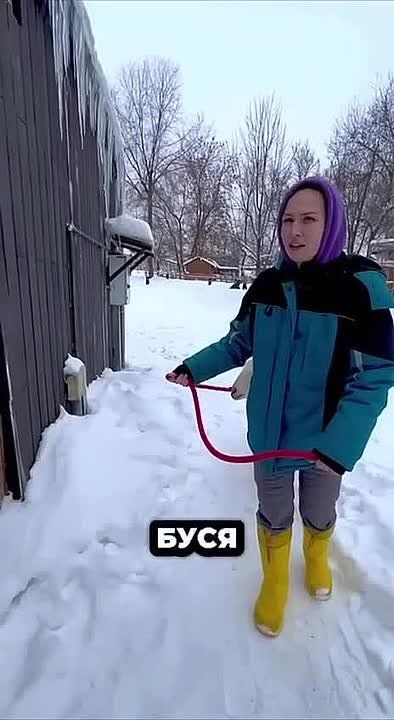 Настоящая любовная драма разыгралась на городской ферме ВДНХ