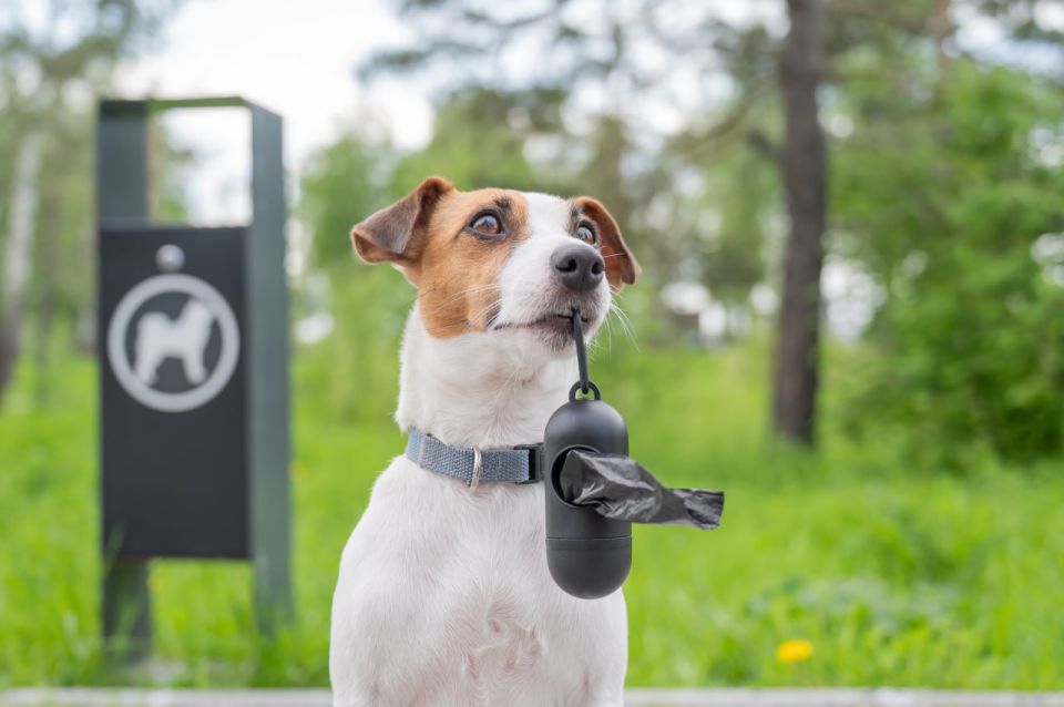 ����� � �������������: �� 30 ����� �� ���������� ����� ��� ����������� ������