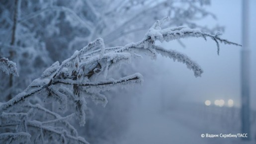 �������� ���� ����� ����� �������� � ������ ���� � �����������, �������� ���� � ��������������