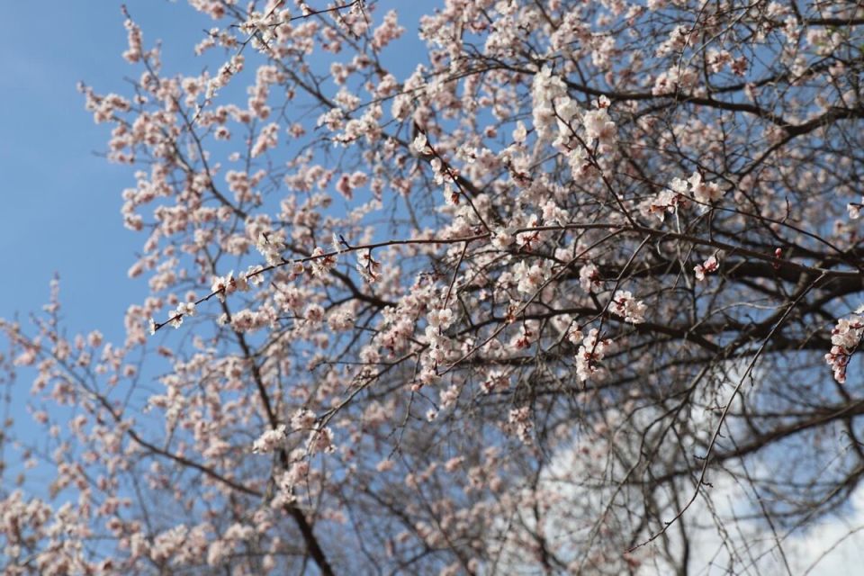 ������������ ��� ��� �������� ������ ������ ��������� �������� ������