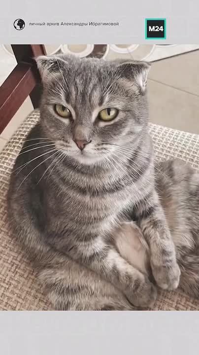 ������� �������� �����, � ������� ������� ������� �� ������� � ������� �� �����?