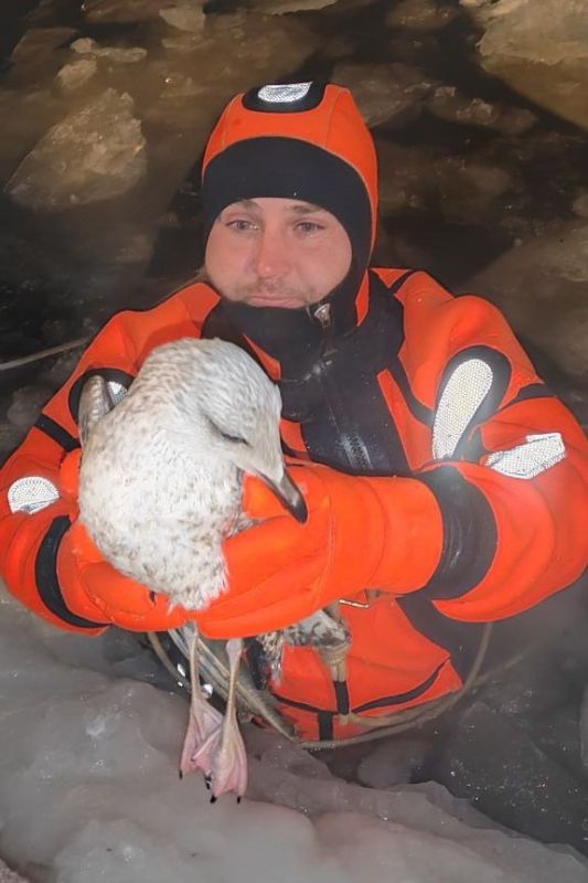 ����� ������ �� �������� �������