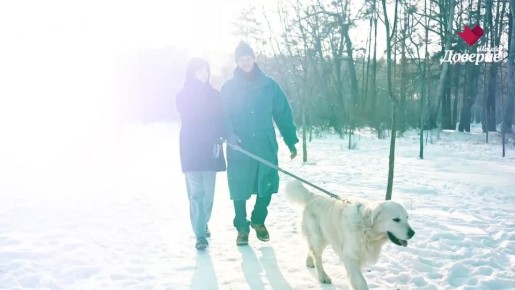 �� �����, ��� �� �������!. ������ ����� ����� ���� � ������� �������� ������� ����� ����� ��������� ���� �����. ����� �������! ��� ���� ����� �����, ������������� ������� � �������� ������