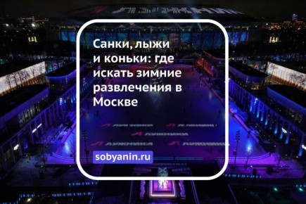 Санки, лыжи и коньки: где искать зимние развлечения в Москве