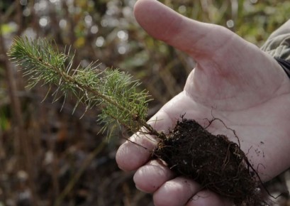 ��� ��������� ���������� ������� � ������: ���������� ������� ��� ��������