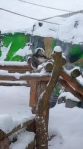 � ����� ����� ����� ������ �� ����������� �������� � �� ������ ��������