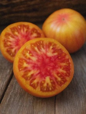 ����� ��������� ����������: ������������ ���� � ������� ��������