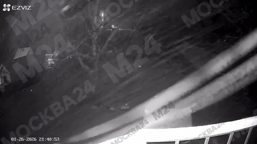 ������ ���������� �� �����������