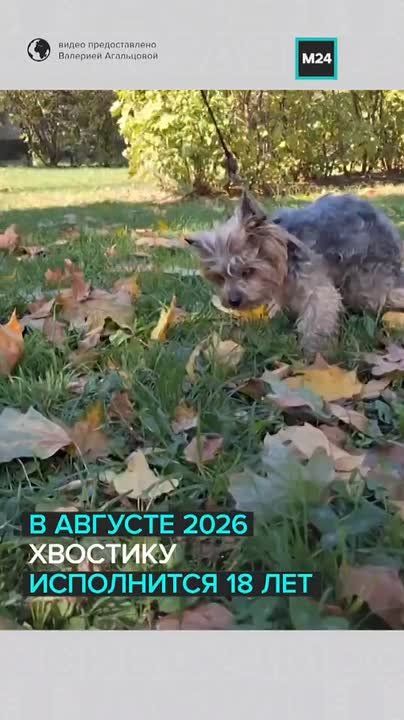 �������, �� ������� ���� ������: ���� ��������� � ��� ������� ������� �� ���������� ��� ����� 17 ���