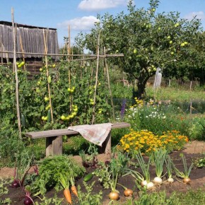 ���� ��� ������ ��������� ����������: ������� �������� ��� ��������� ������