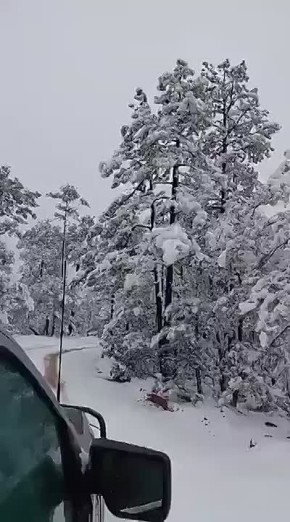 ���� ������ ���������� ��������� ����������� ��������, ������ ������ ���, ��� �� �����: �� 50 �� ����� ������ � ������������ ����� �������